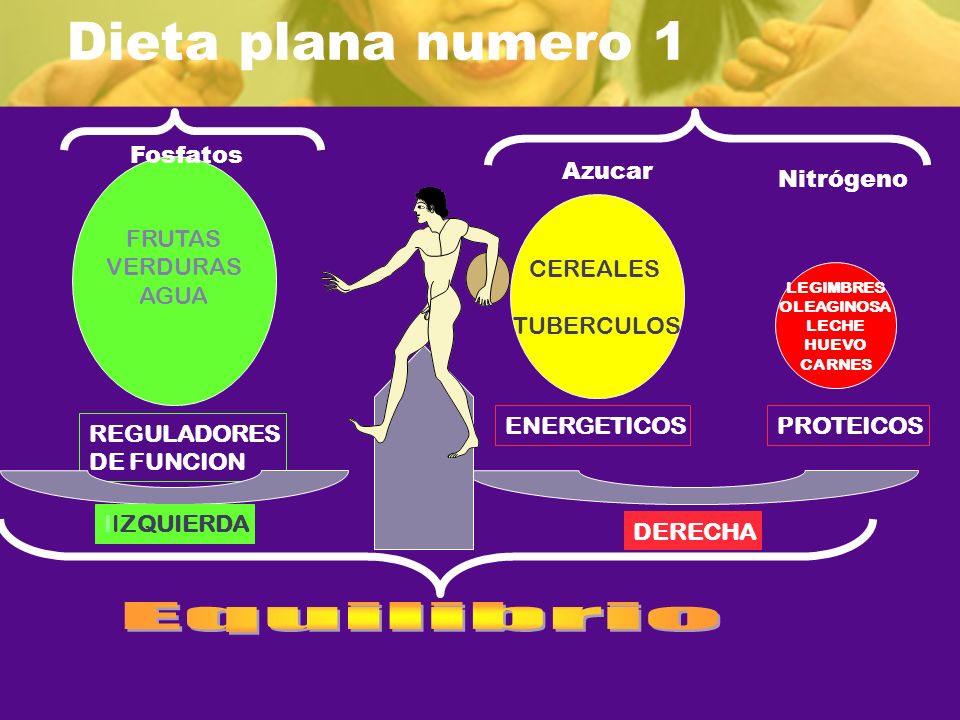 Dieta plana numero 1 Equilibrio Fosfatos FRUTAS VERDURAS AGUA Azucar
