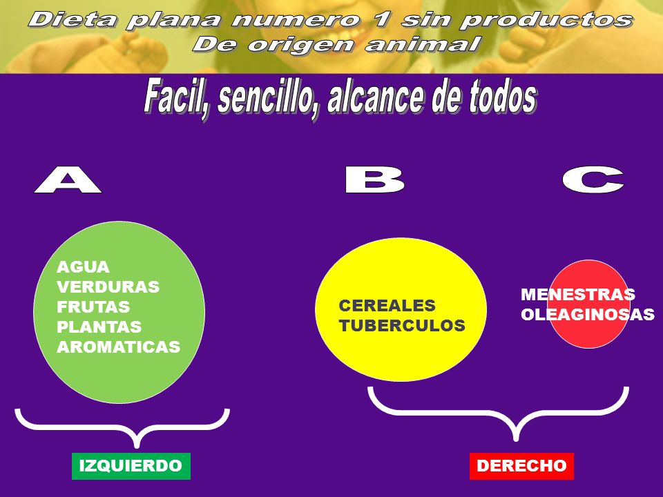 Dieta plana numero 1 sin productos De origen animal