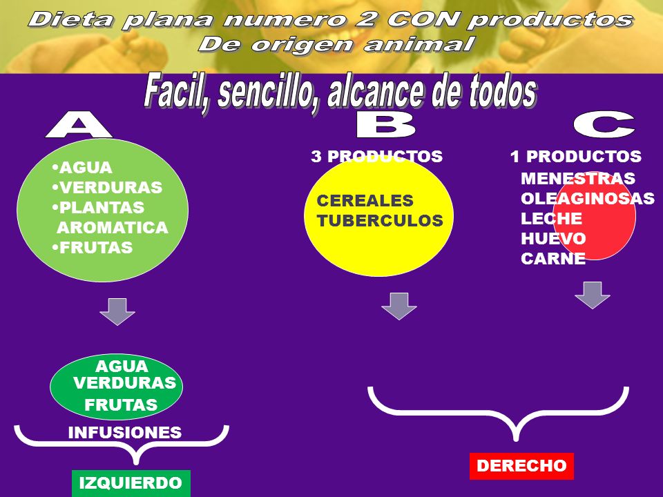 Dieta plana numero 2 CON productos De origen animal