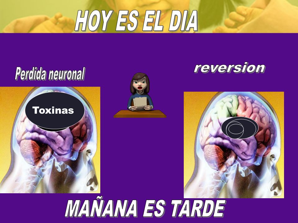 HOY ES EL DIA reversion Perdida neuronal MAÑANA ES TARDE Toxinas