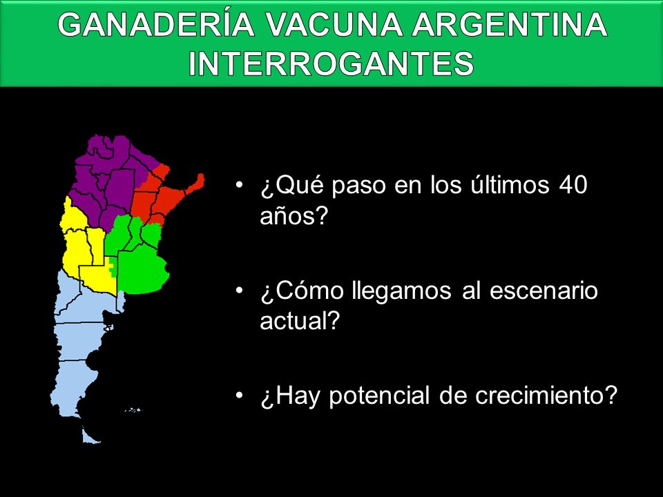 GANADERÍA VACUNA ARGENTINA