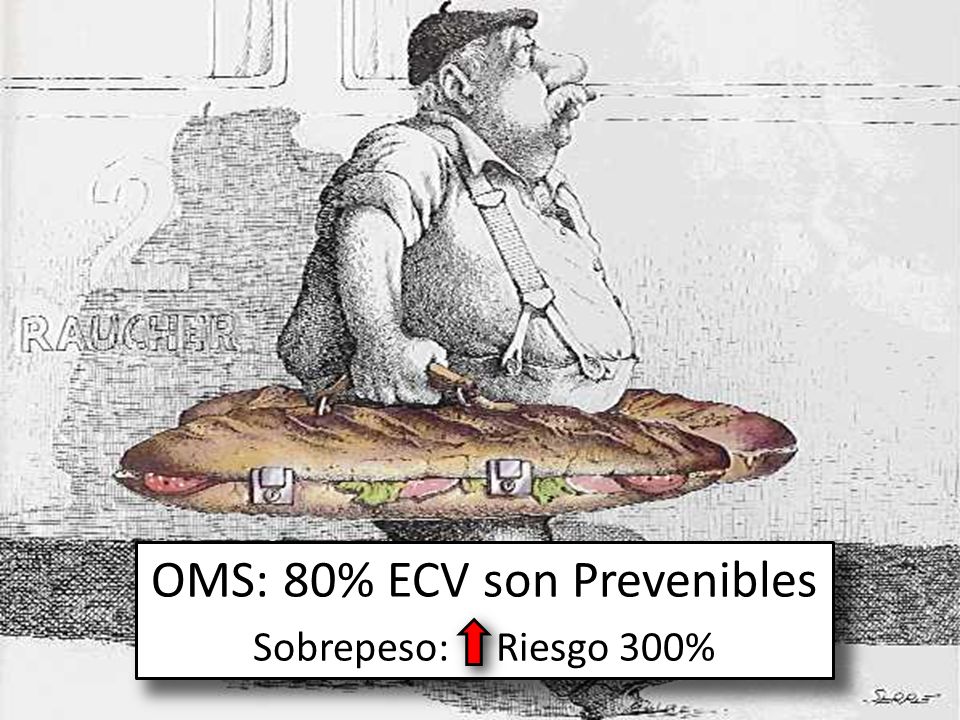 OMS: 80% ECV son Prevenibles