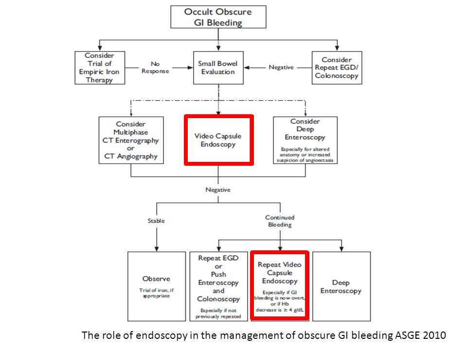The role of endoscopy in the management of obscure GI bleeding ASGE 2010