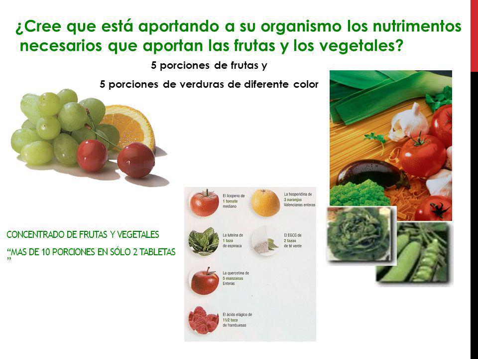 5 porciones de verduras de diferente color