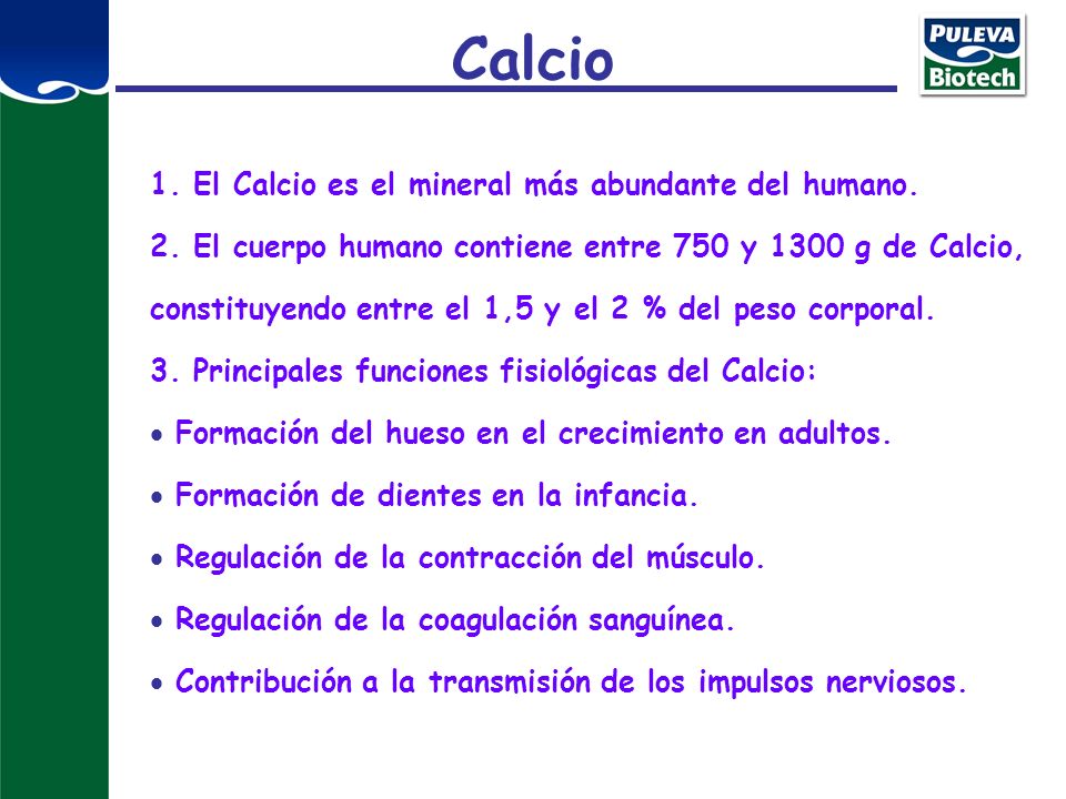 Calcio 1. El Calcio es el mineral más abundante del humano.