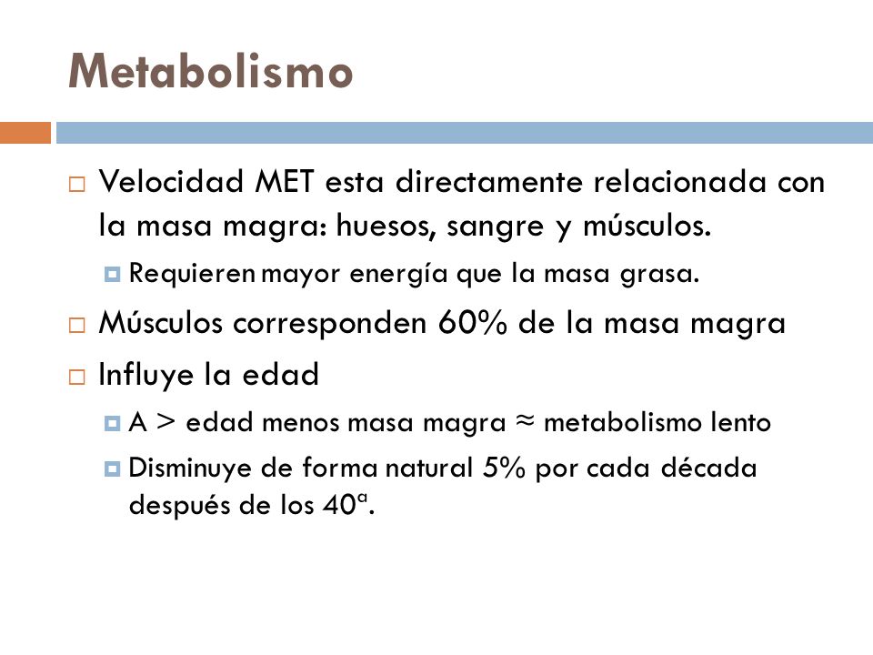Metabolismo Velocidad MET esta directamente relacionada con la masa magra: huesos, sangre y músculos.