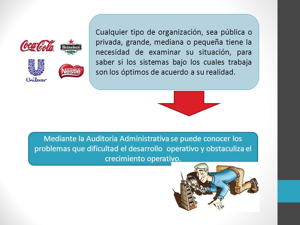Cualquier tipo de organización, sea pública o privada, grande, mediana o pequeña tiene la necesidad de examinar su situación, para saber si los sistemas bajo los cuales trabaja son los óptimos de acuerdo a su realidad.