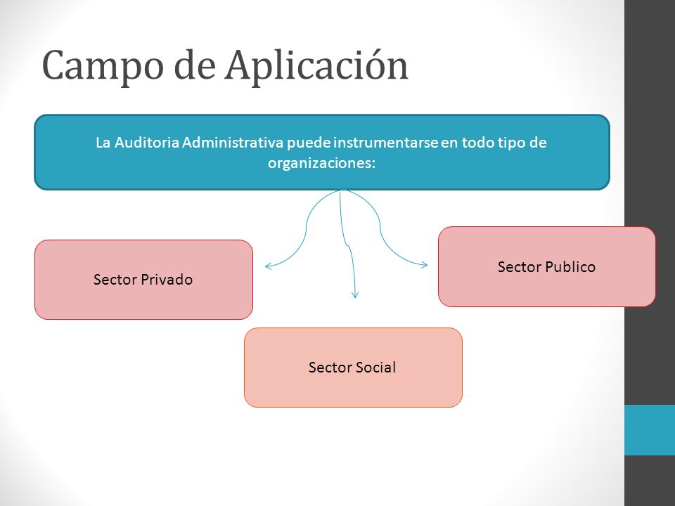 Campo de Aplicación La Auditoria Administrativa puede instrumentarse en todo tipo de organizaciones: