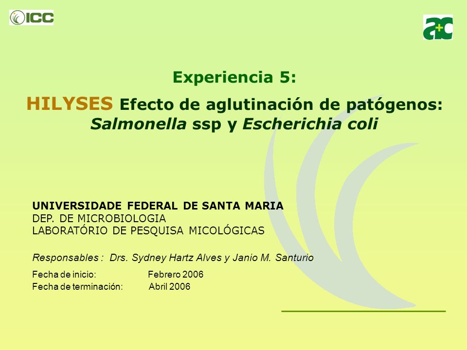 Experiencia 5: HILYSES Efecto de aglutinación de patógenos: Salmonella ssp y Escherichia coli