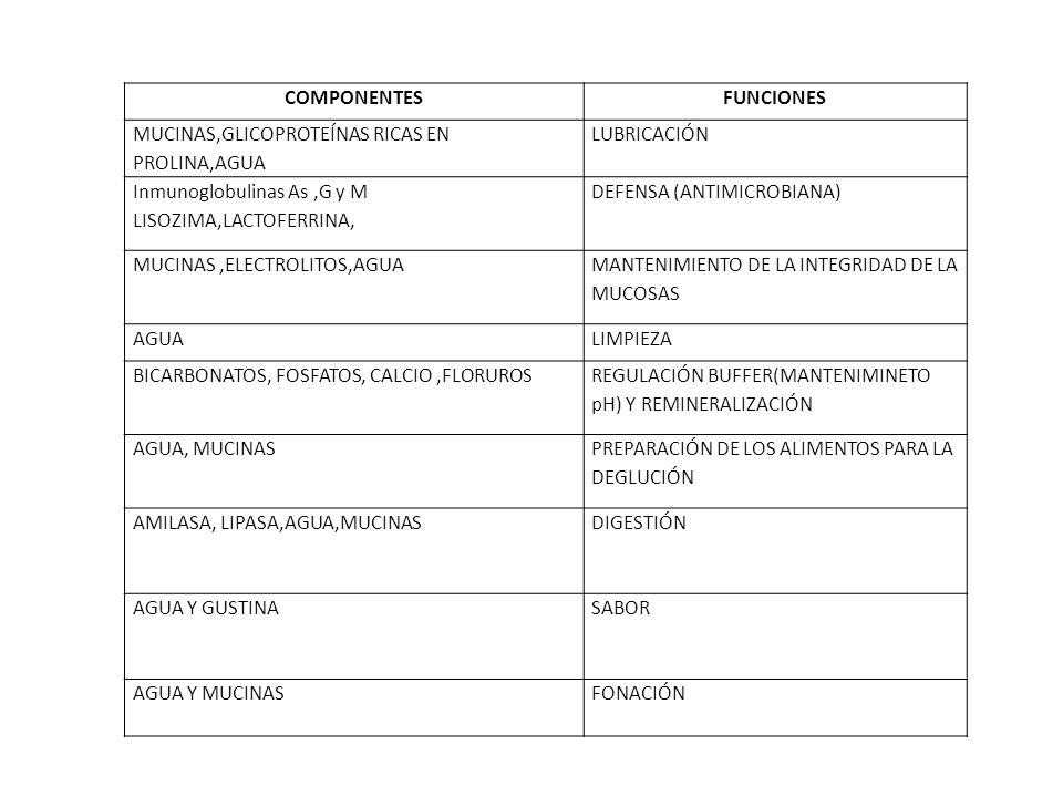 COMPONENTES FUNCIONES. MUCINAS,GLICOPROTEÍNAS RICAS EN PROLINA,AGUA. LUBRICACIÓN. Inmunoglobulinas As ,G y M.