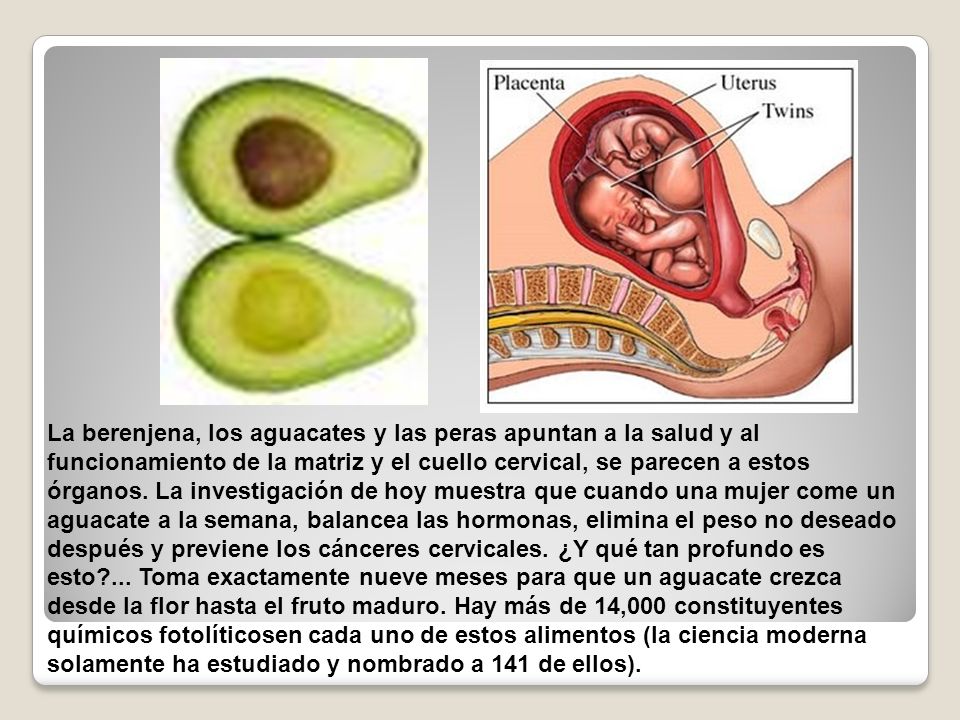 La berenjena, los aguacates y las peras apuntan a la salud y al funcionamiento de la matriz y el cuello cervical, se parecen a estos órganos.