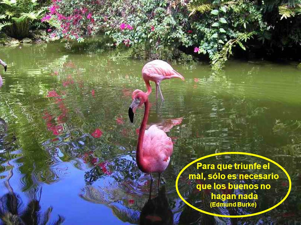 Para que triunfe el mal, sólo es necesario que los buenos no