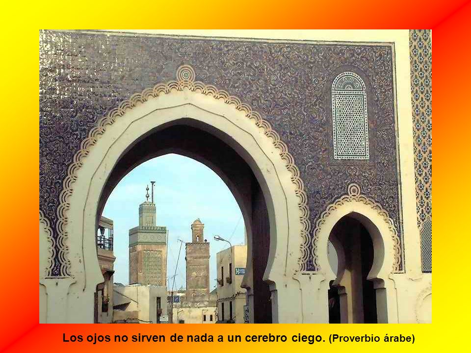 Los ojos no sirven de nada a un cerebro ciego. (Proverbio árabe)