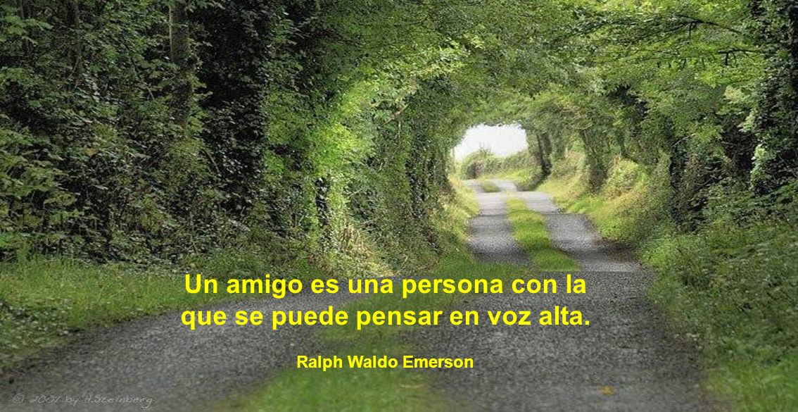 Un amigo es una persona con la que se puede pensar en voz alta.