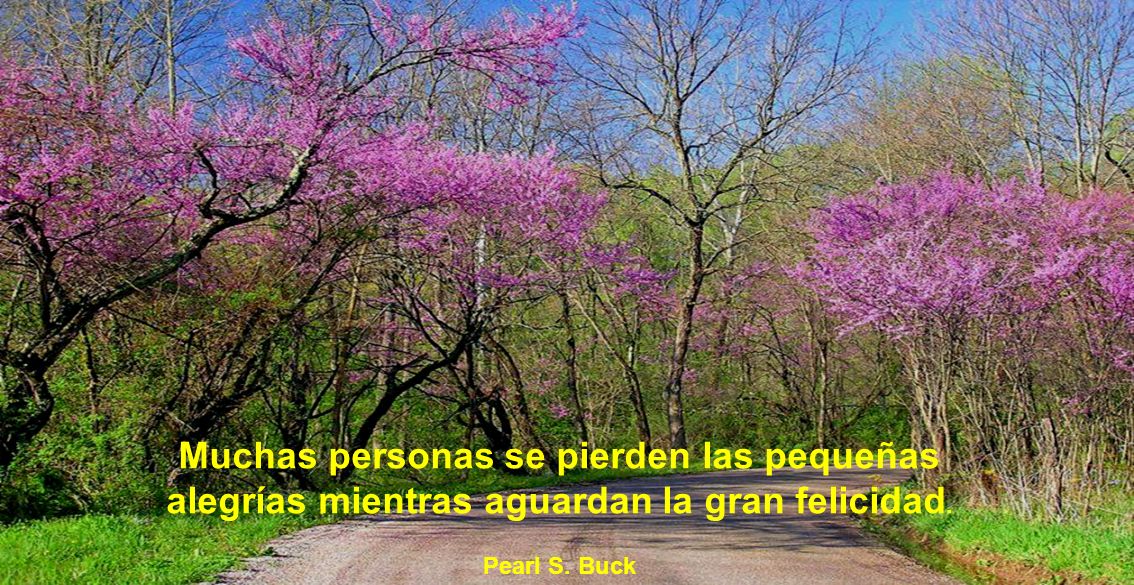 Muchas personas se pierden las pequeñas alegrías mientras aguardan la gran felicidad.