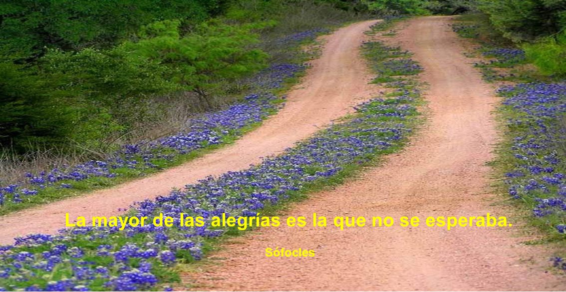 La mayor de las alegrías es la que no se esperaba.