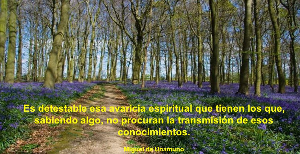 Es detestable esa avaricia espiritual que tienen los que, sabiendo algo, no procuran la transmisión de esos conocimientos.