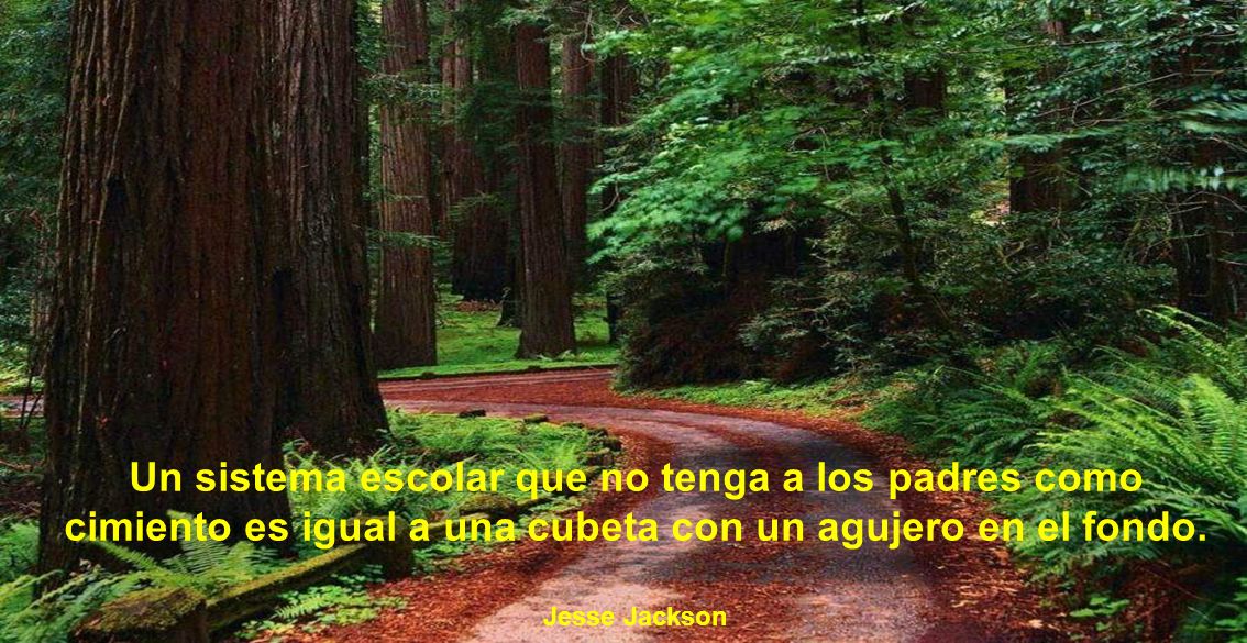 Un sistema escolar que no tenga a los padres como cimiento es igual a una cubeta con un agujero en el fondo.