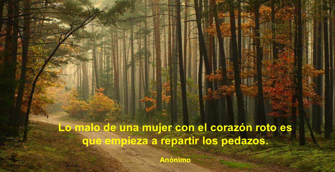Lo malo de una mujer con el corazón roto es que empieza a repartir los pedazos.