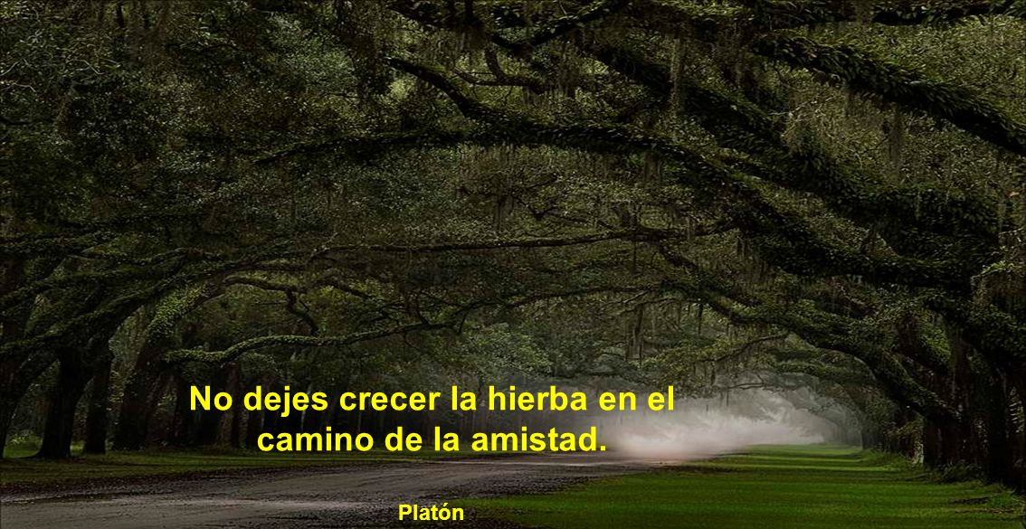 No dejes crecer la hierba en el camino de la amistad.