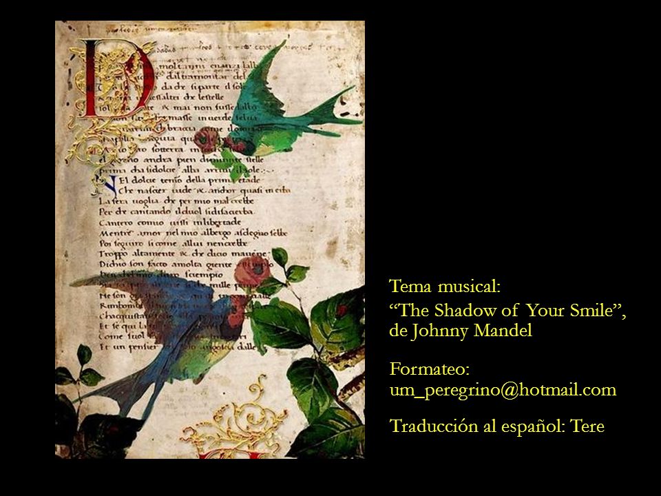 Tema musical: The Shadow of Your Smile , de Johnny Mandel.