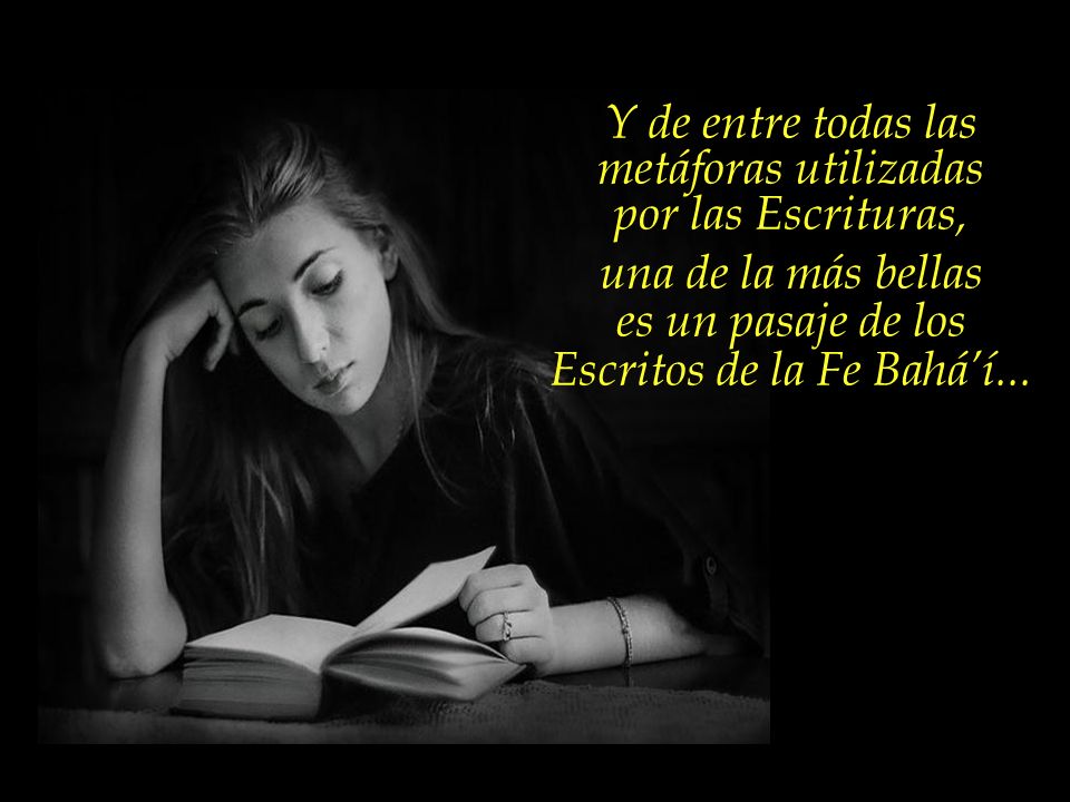 Y de entre todas las metáforas utilizadas por las Escrituras,