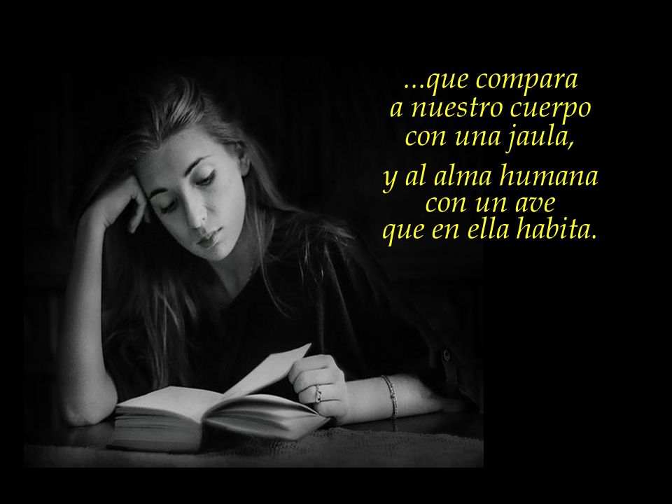 ...que compara a nuestro cuerpo con una jaula, y al alma humana con un ave que en ella habita.