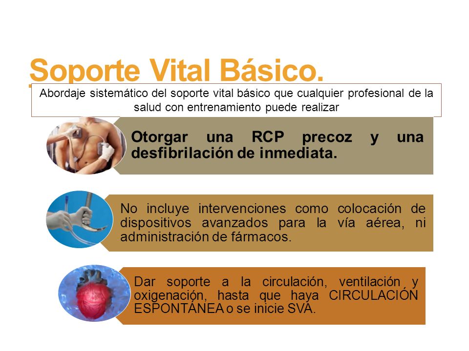 Soporte Vital Básico. Abordaje sistemático del soporte vital básico que cualquier profesional de la salud con entrenamiento puede realizar.