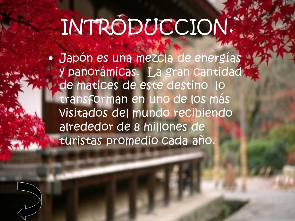 INTRODUCCION.
