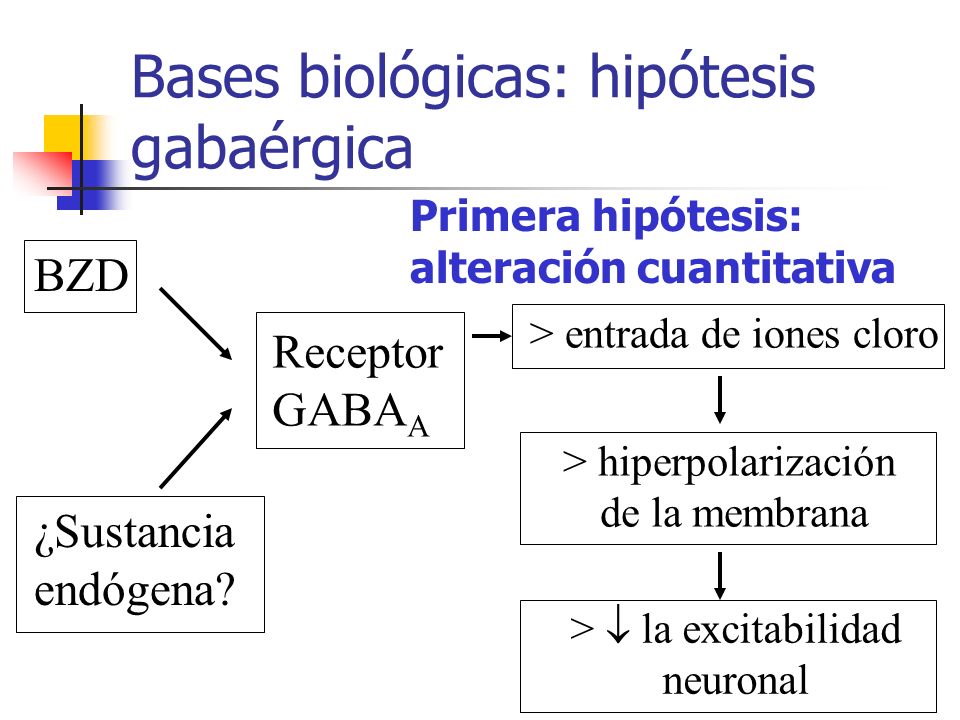 Bases biológicas: hipótesis gabaérgica