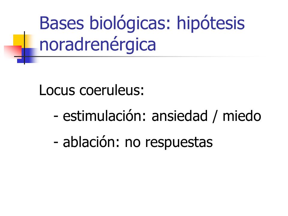Bases biológicas: hipótesis noradrenérgica
