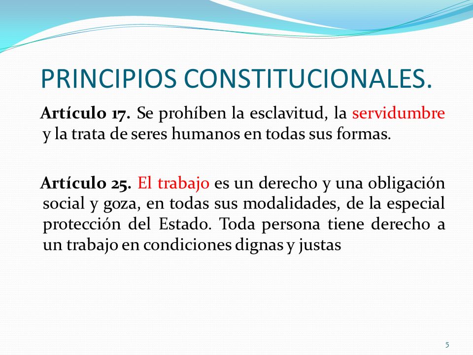 PRINCIPIOS CONSTITUCIONALES.