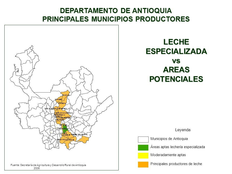 DEPARTAMENTO DE ANTIOQUIA PRINCIPALES MUNICIPIOS PRODUCTORES