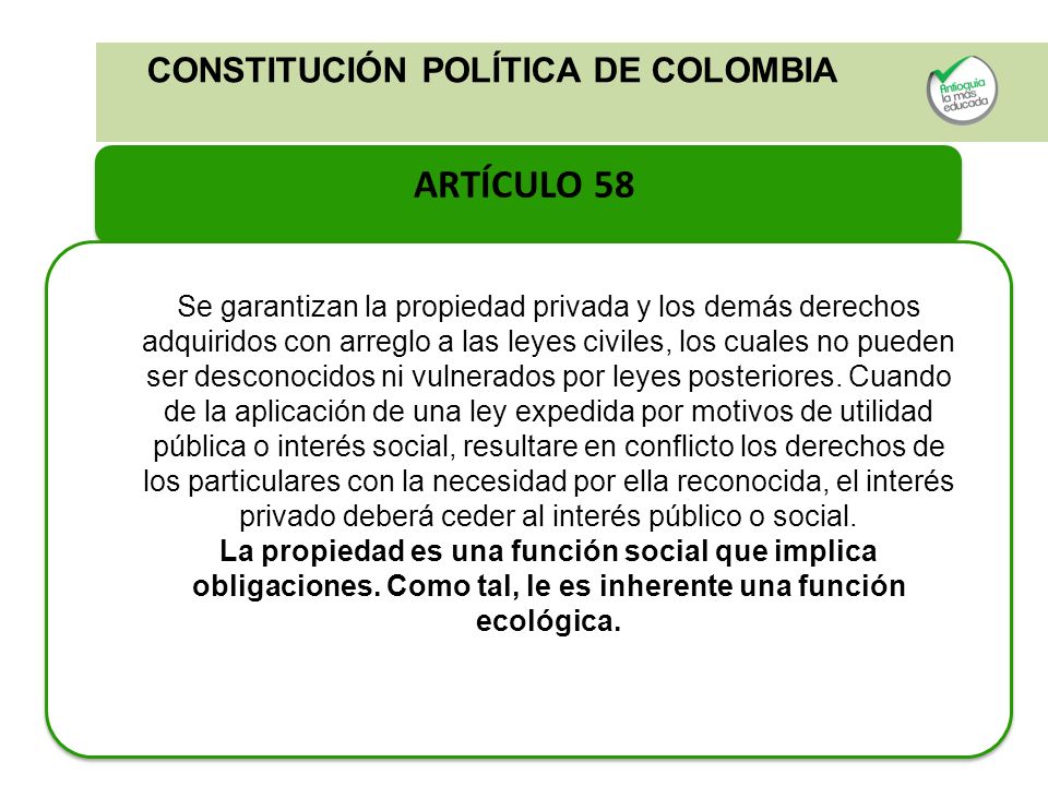 ARTÍCULO 58 CONSTITUCIÓN POLÍTICA DE COLOMBIA