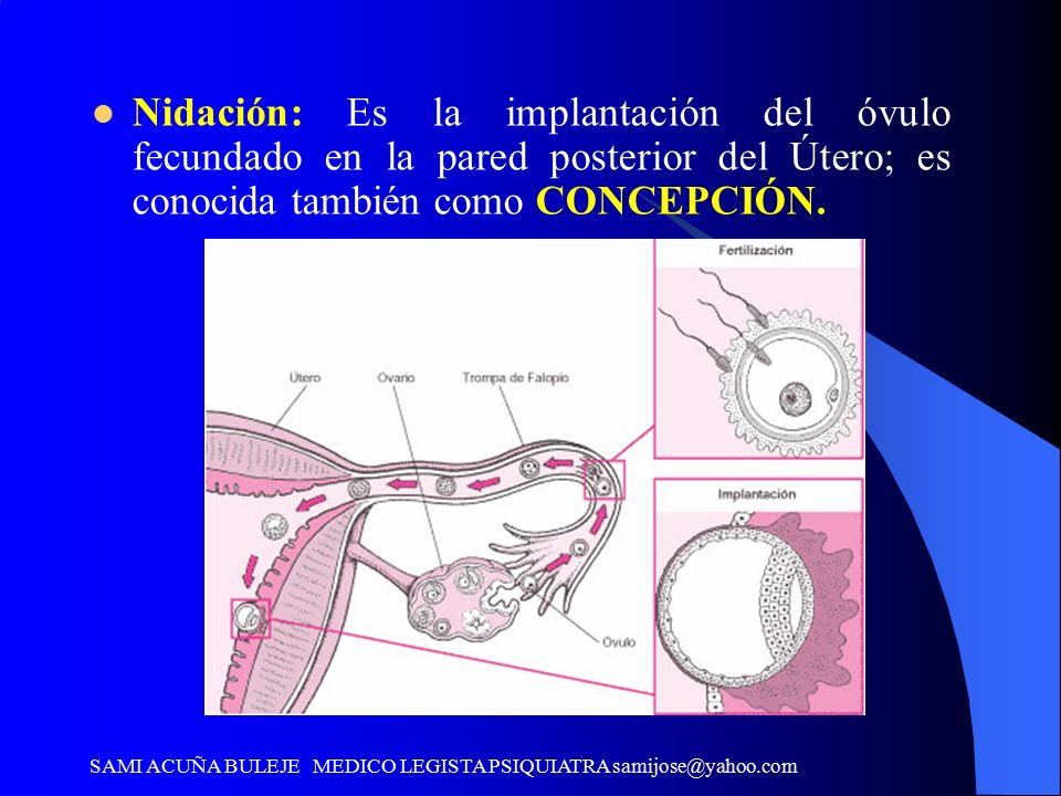 Nidación: Es la implantación del óvulo fecundado en la pared posterior del Útero; es conocida también como CONCEPCIÓN.