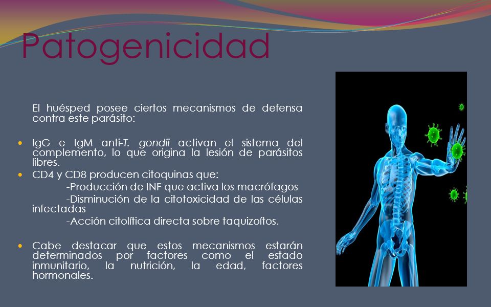 Patogenicidad El huésped posee ciertos mecanismos de defensa contra este parásito: