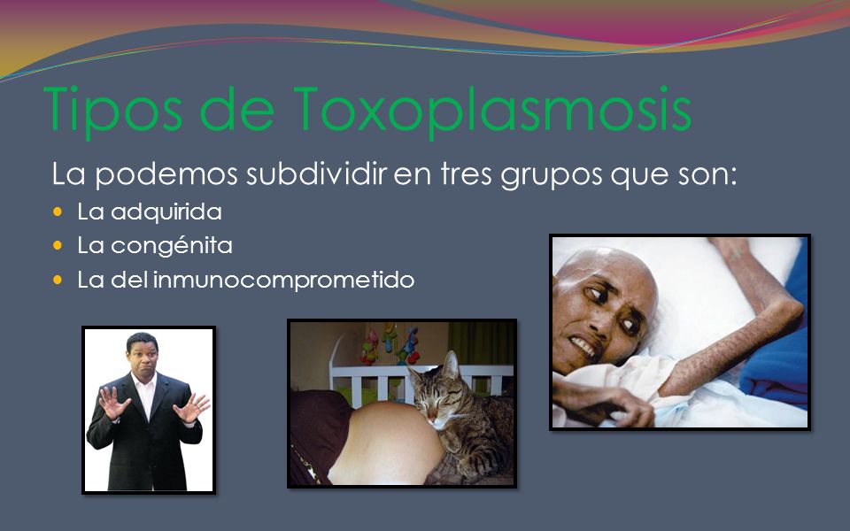 Tipos de Toxoplasmosis