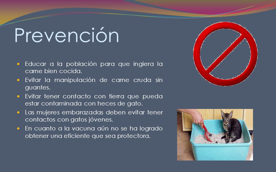 Prevención Educar a la población para que ingiera la carne bien cocida. Evitar la manipulación de carne cruda sin guantes.