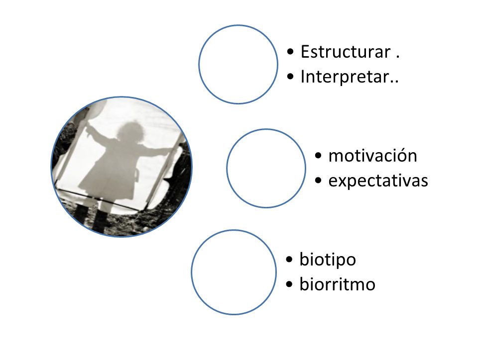 Estructurar . Interpretar.. motivación expectativas biotipo biorritmo