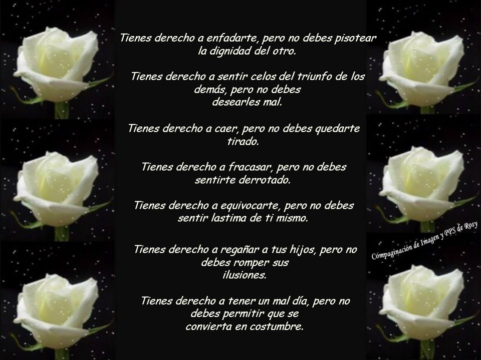 Tienes derecho a enfadarte, pero no debes pisotear la dignidad del otro. Tienes derecho a sentir celos del triunfo de los demás, pero no debes desearles mal.