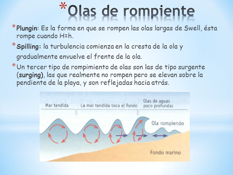 Olas de rompiente Plungin: Es la forma en que se rompen las olas largas de Swell, ésta rompe cuando H=h.