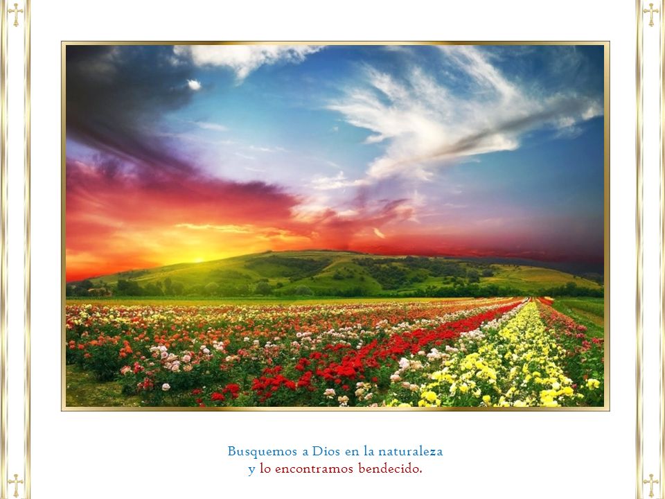 Busquemos a Dios en la naturaleza y lo encontramos bendecido.