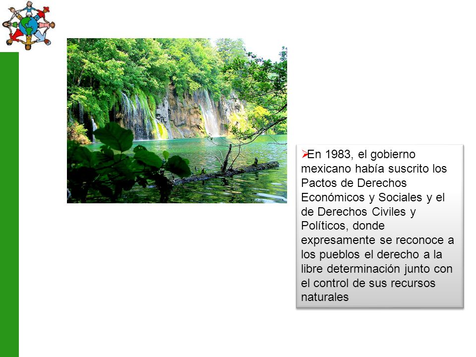 En 1983, el gobierno mexicano había suscrito los Pactos de Derechos Económicos y Sociales y el de Derechos Civiles y Políticos, donde expresamente se reconoce a los pueblos el derecho a la libre determinación junto con el control de sus recursos naturales