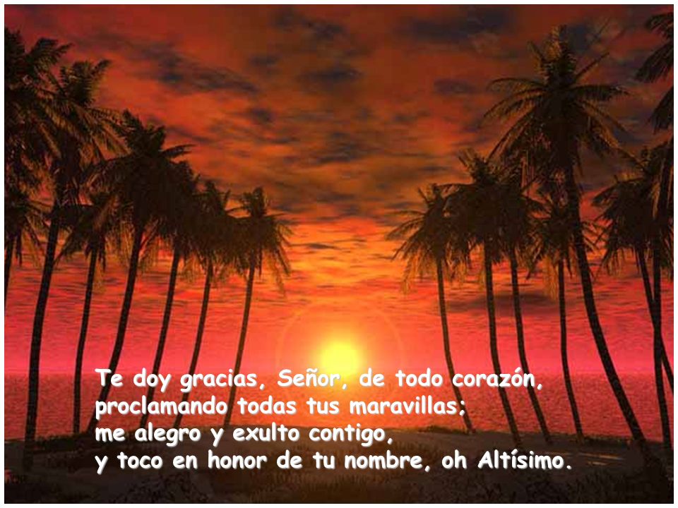 Te doy gracias, Señor, de todo corazón,