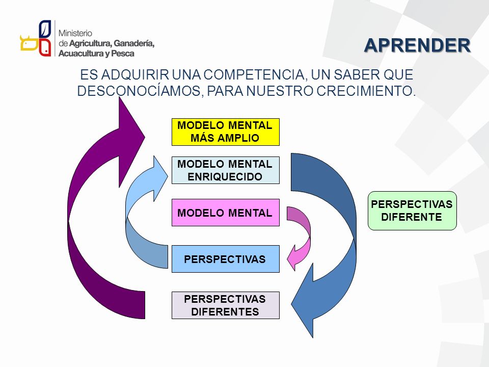 APRENDER ES ADQUIRIR UNA COMPETENCIA, UN SABER QUE DESCONOCÍAMOS, PARA NUESTRO CRECIMIENTO. MODELO MENTAL.