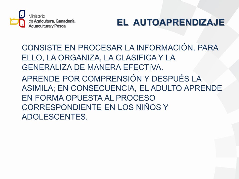 EL AUTOAPRENDIZAJE CONSISTE EN PROCESAR LA INFORMACIÓN, PARA ELLO, LA ORGANIZA, LA CLASIFICA Y LA GENERALIZA DE MANERA EFECTIVA.