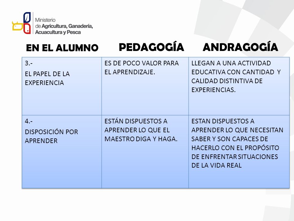 PEDAGOGÍA ANDRAGOGÍA EN EL ALUMNO 3.- EL PAPEL DE LA EXPERIENCIA