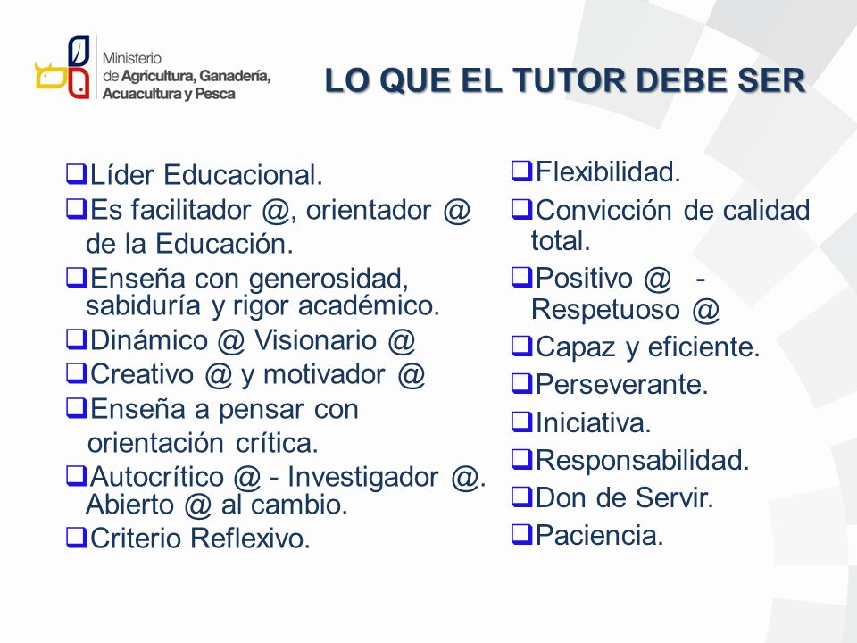 LO QUE EL TUTOR DEBE SER Flexibilidad. Convicción de calidad total.