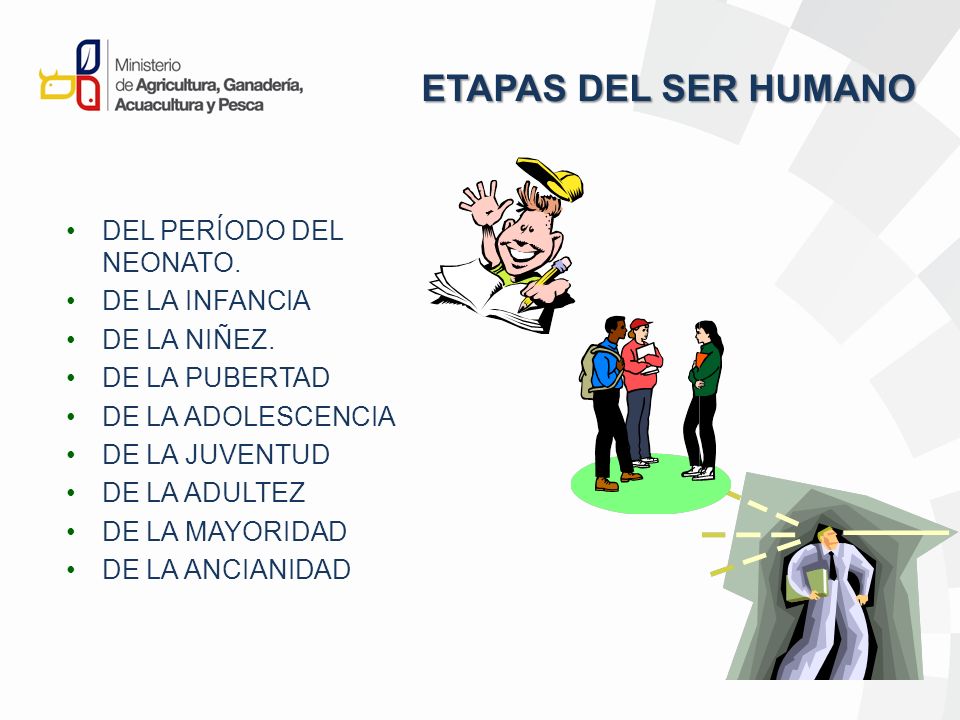 ETAPAS DEL SER HUMANO DEL PERÍODO DEL NEONATO. DE LA INFANCIA