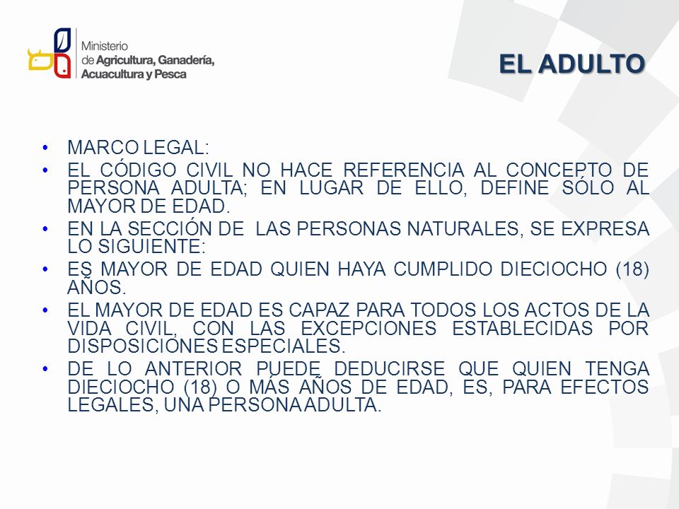 EL ADULTO MARCO LEGAL: EL CÓDIGO CIVIL NO HACE REFERENCIA AL CONCEPTO DE PERSONA ADULTA; EN LUGAR DE ELLO, DEFINE SÓLO AL MAYOR DE EDAD.